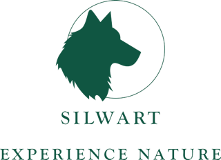 Silwart